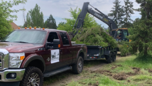 Remove Trees Emerson Contracting NW