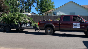Tree Removal Services Emerson Contracting NW